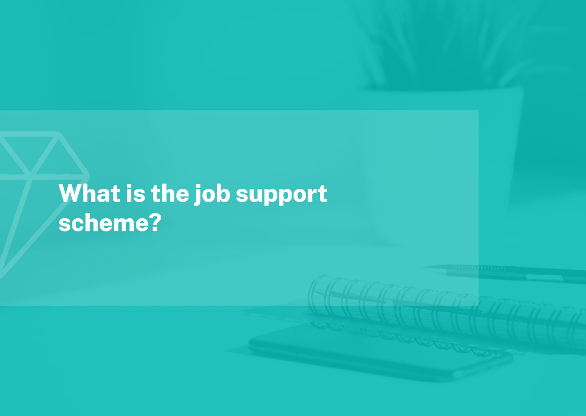 what-is-the-job-support-scheme